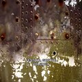 Benatural - Summer Reggae