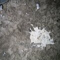 Benatural - Smiles