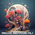 Organic Deephouse, Vol. 1 (Explicit)