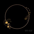 Tyler Rich - The Will