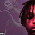 undesirable. (Explicit)
