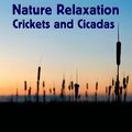 Nature Relaxation Crickets and Cicadas
