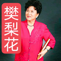 名家合集 - 刘兰芳《樊梨花》14，