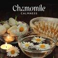 Relaxation Academy - Aroma Sticks
