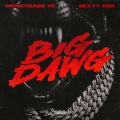 Big Dawg (Explicit)