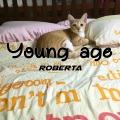 Young Age