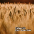 TaitosmitH - Don't waste love