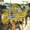 andreas scholl、Collegium Vocale Gent、Philippe Herreweghe - Geist und Seele wird verwirret, BWV 35: VI. Recitativo: 