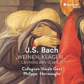 carolyn sampson、Collegium Vocale Gent、Philippe Herreweghe - Aus tiefer Not schrei ich zu dir, BWV 38: IV. Recitativo 