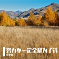 金亚雷 - 努力和遗憾哪个让你更痛苦