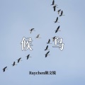 快乐男孩Raychen - 候鸟