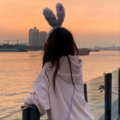花开又花落 - 猜猜猜