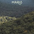 Taylor Maris、The Industry Plants - Rewind