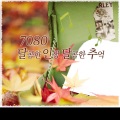 韩国群星 - 솔개