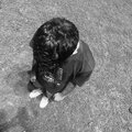 Alott - Sehmat