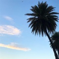 暴龙兔 - 太空舱旋律