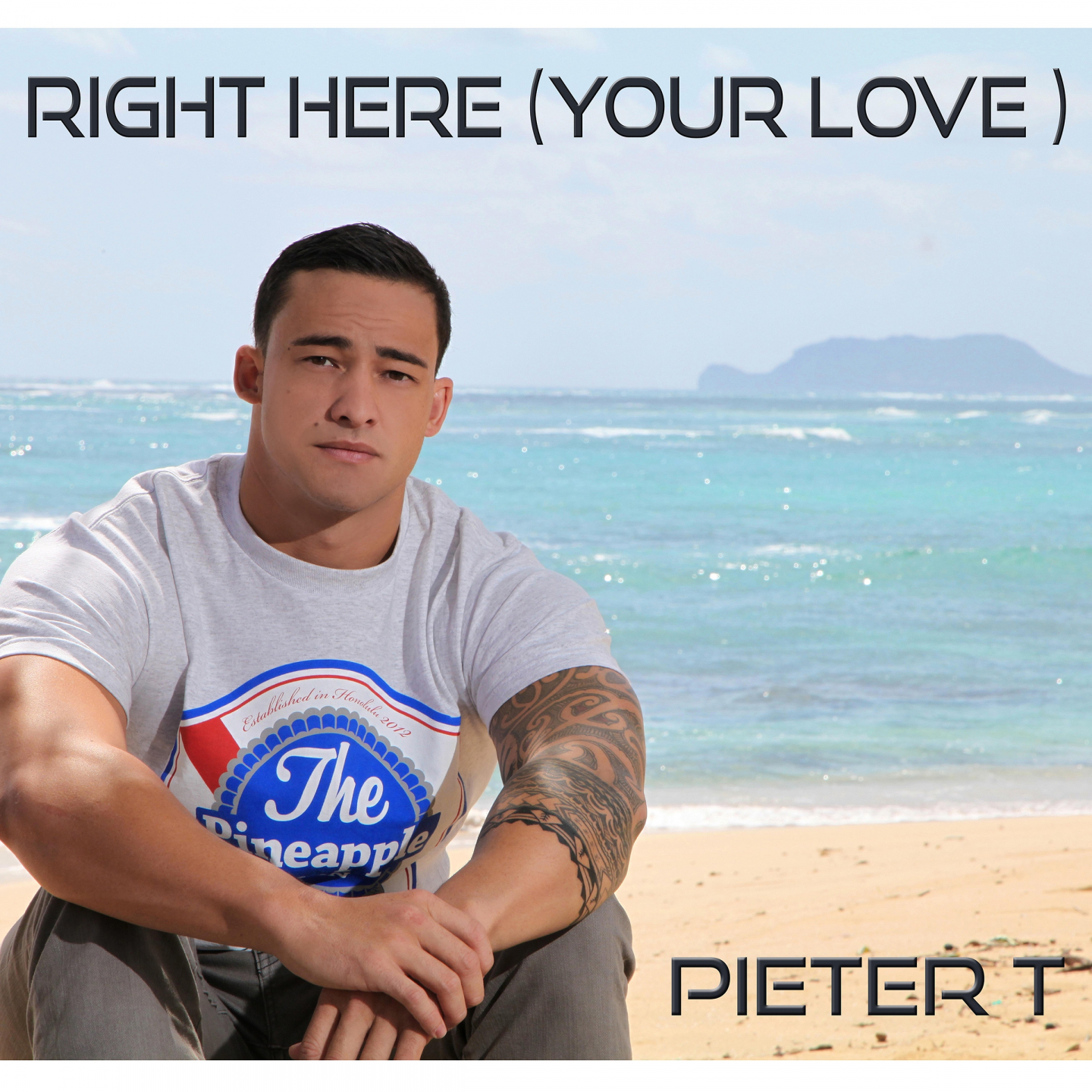 Pieter T - Right Here (Your Love) (A Capella)