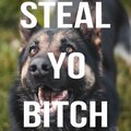 Lil Anon - Steal Yo ***** (Explicit)
