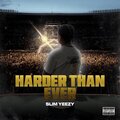 Slim Yeezy、Stunna 4 Vegas - Did What I Did (feat. Stunna 4 Vegas)(Explicit)