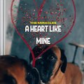 A Heart Like Mine - The Miracles