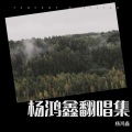 杨鸿鑫 - 因你真正活过