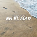 Paseando en el mar