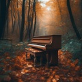 Diepe Focus、Relaxing Sleep Sound、Reiki Sounds - Insightful Journeys