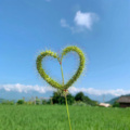哥哥 - 留什么给你