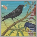Billy Martin - Starlings 2