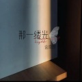 金南玲 - 那一缕光
