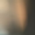 T.of.u (Explicit)