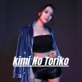 Dj Imut - DJ KIMI NO TORIKO