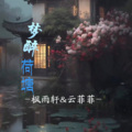 枫雨轩、云菲菲 - 梦醉荷塘