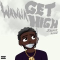 Wanna Get High (feat. Void)(Explicit)