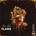 Flaws (feat. Adrianne Lenker & Emily Burns)