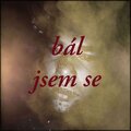 Donek - Bál jsem se