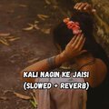 Koushik Mahata - Kali nagin ke jaisi (Slowed|Reverb)