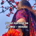 Koushik Mahata - Pyaar Karte Ho Na (Slowed|Reverb)