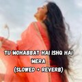 Koushik Mahata - Tu Mohabbat Hai Ishq Hai Mera (Slowed|Reverb)