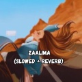 Koushik Mahata - Zaalima (Slowed|Reverb)