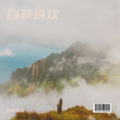 白茶清欢 - 永夜