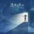 段奥娟 - 我只愿璀璨地活过