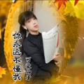 可爱仙子 - 你永远不懂我