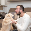 Piano Pet Companionship: Serenading Music for Peaceful Moments