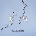 Raychen - 候鸟