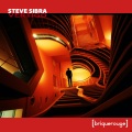 Steve Sibra - Wild Night