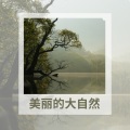 RW 缓解压力的旋律 - 鸟叫声