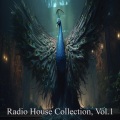 Morris DJ - Suspense