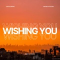Caolan Irvine、BoGriLZ - Wishing You (BoGriLZ Remix)