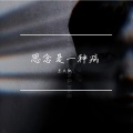 王大凯 - 思念是一种病